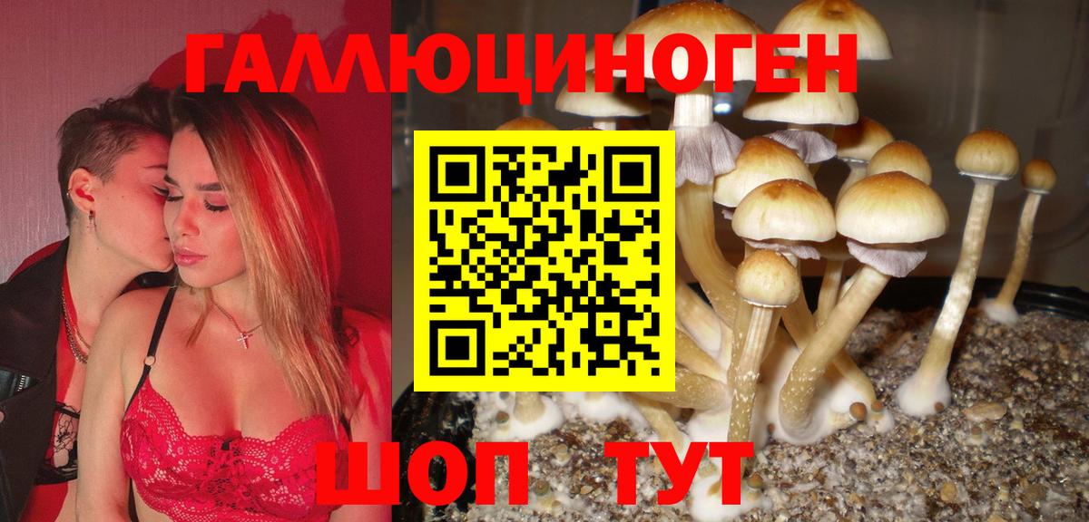 Псилоцибиновые грибы Psilocybine cubensis  Вход с VPN  Чебоксары 